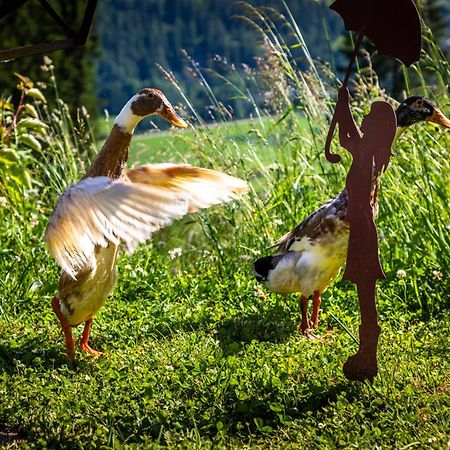 Gschwandtgut Urlaub Am Bauernhof Villa Schwemmberg Ngoại thất bức ảnh
