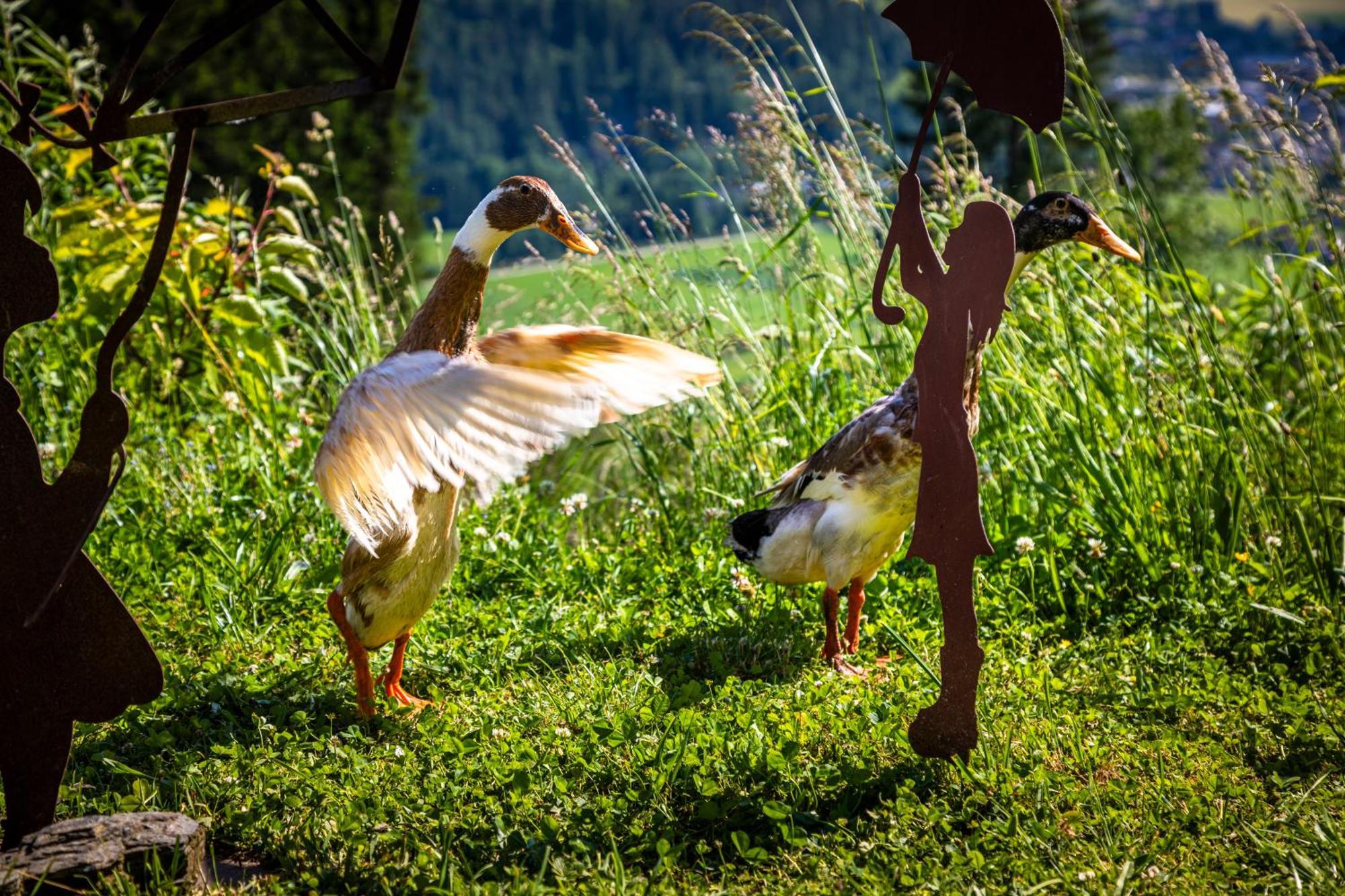 Gschwandtgut Urlaub Am Bauernhof Villa Schwemmberg Ngoại thất bức ảnh