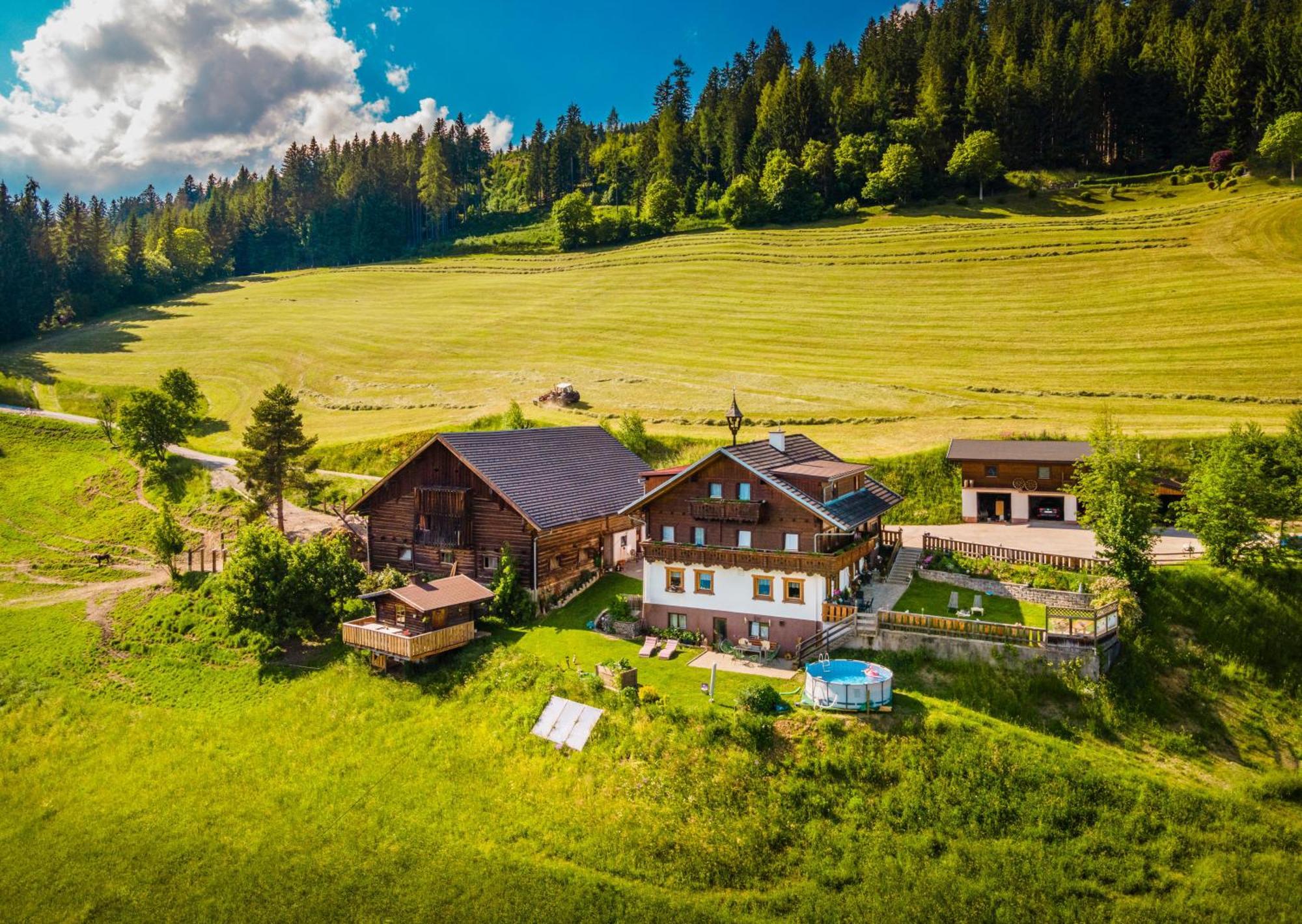 Gschwandtgut Urlaub Am Bauernhof Villa Schwemmberg Ngoại thất bức ảnh